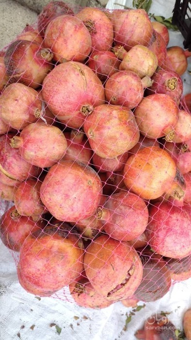 توری بسته بندی پیاز توری پیاز تور پیاز