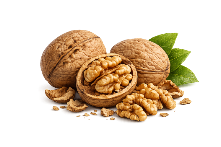 راهنمای کامل توری بسته بندی گردو